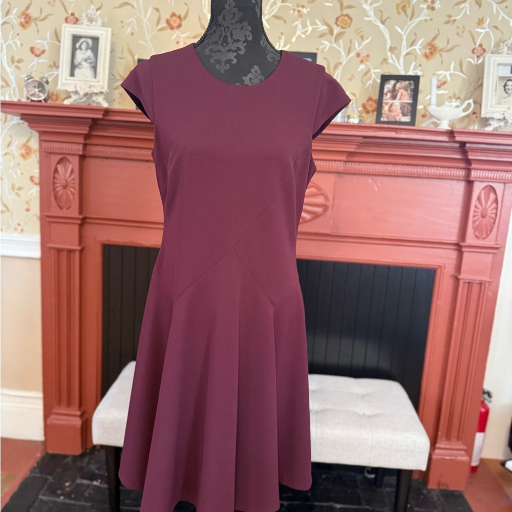Tommy Hilfiger Plum Mini Dress with Cap Sleeves